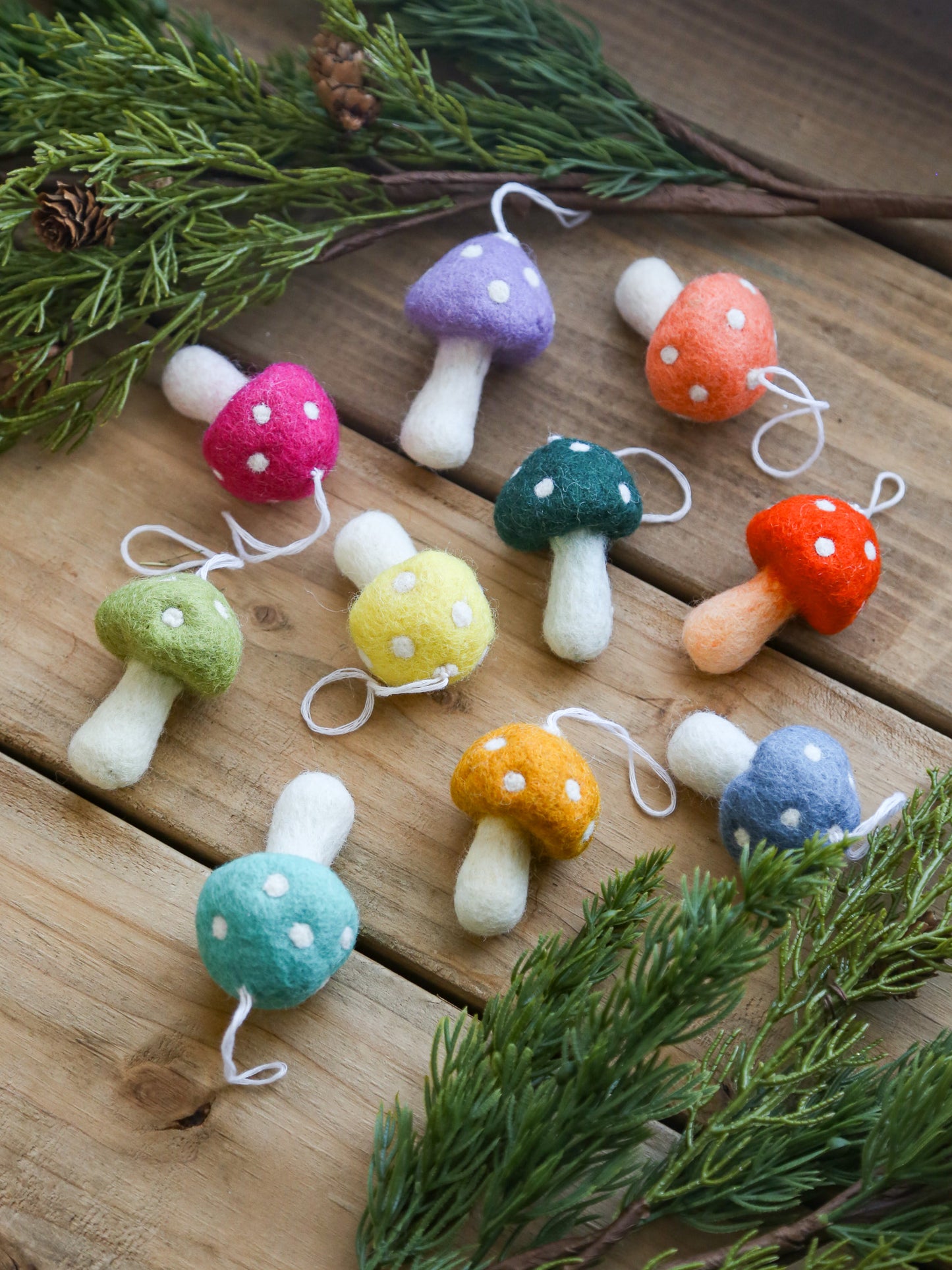 Mushroom Ornaments | Assorted Colours