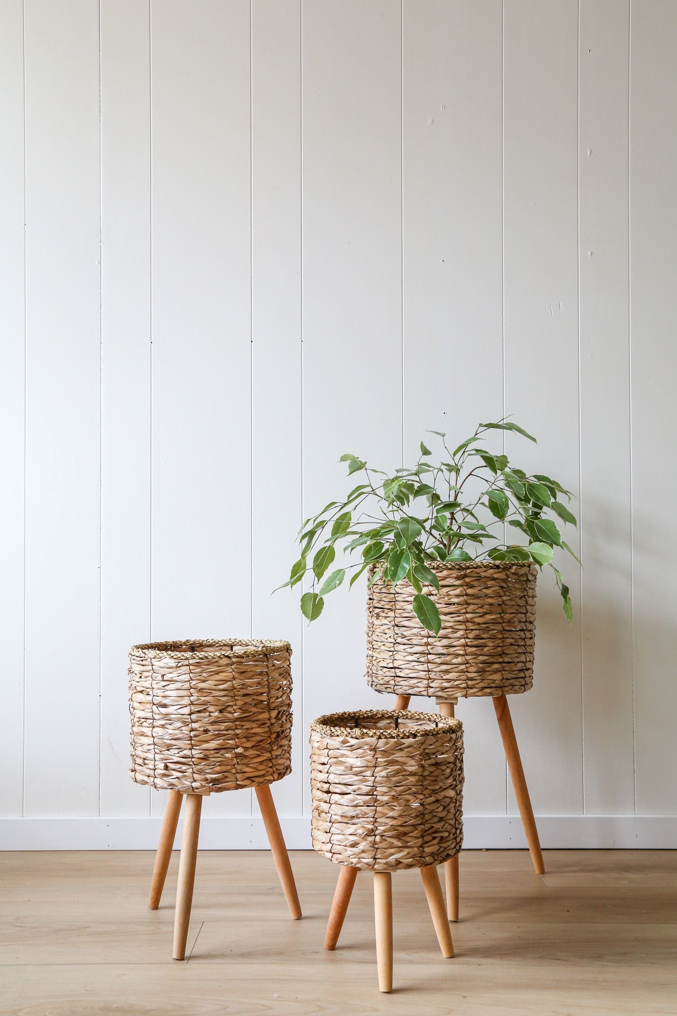 Set of Three Wicker Planters (Pick Up Only)
